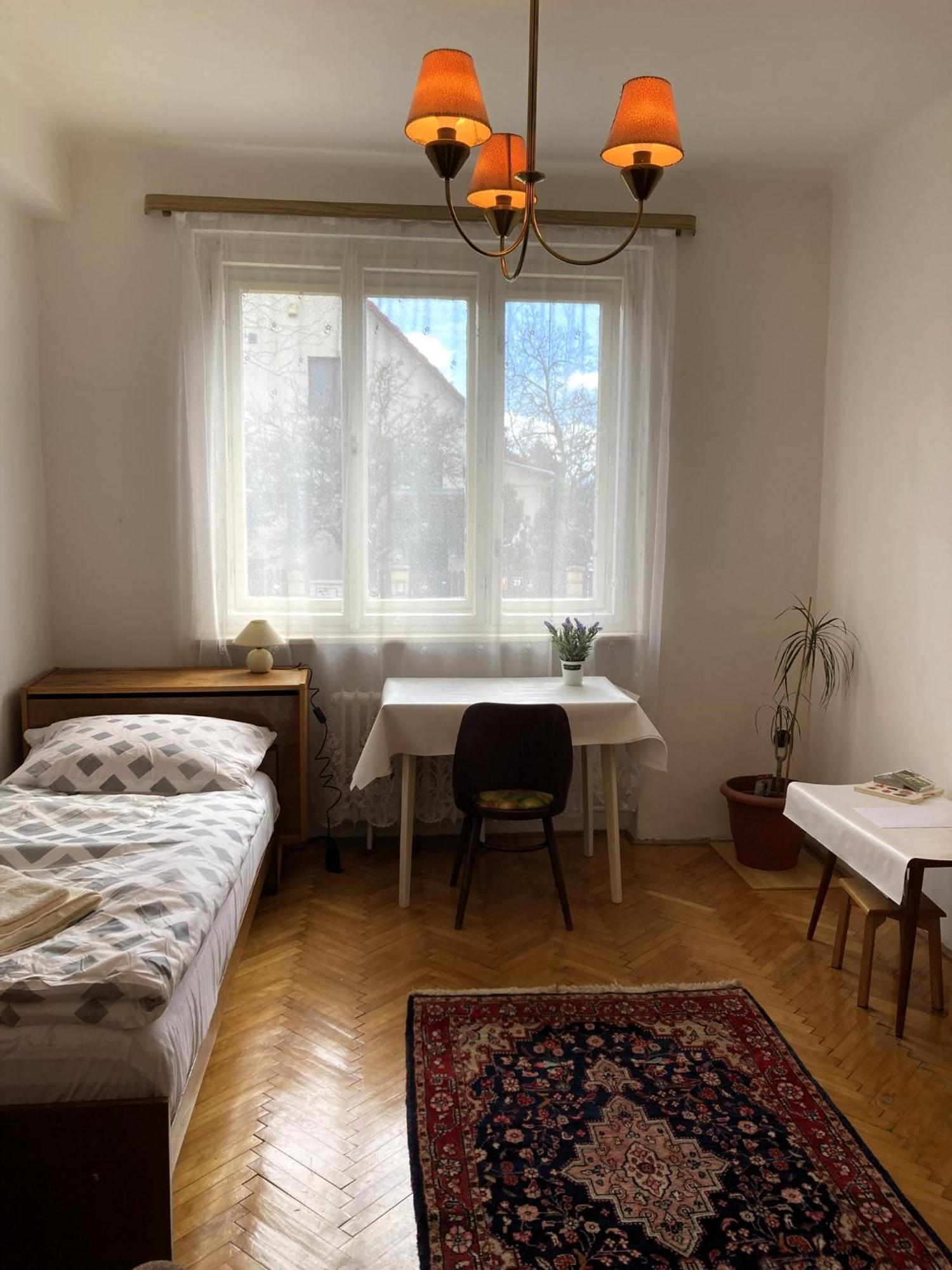 Spacious Apartment - Free Parking! Прага Екстериор снимка