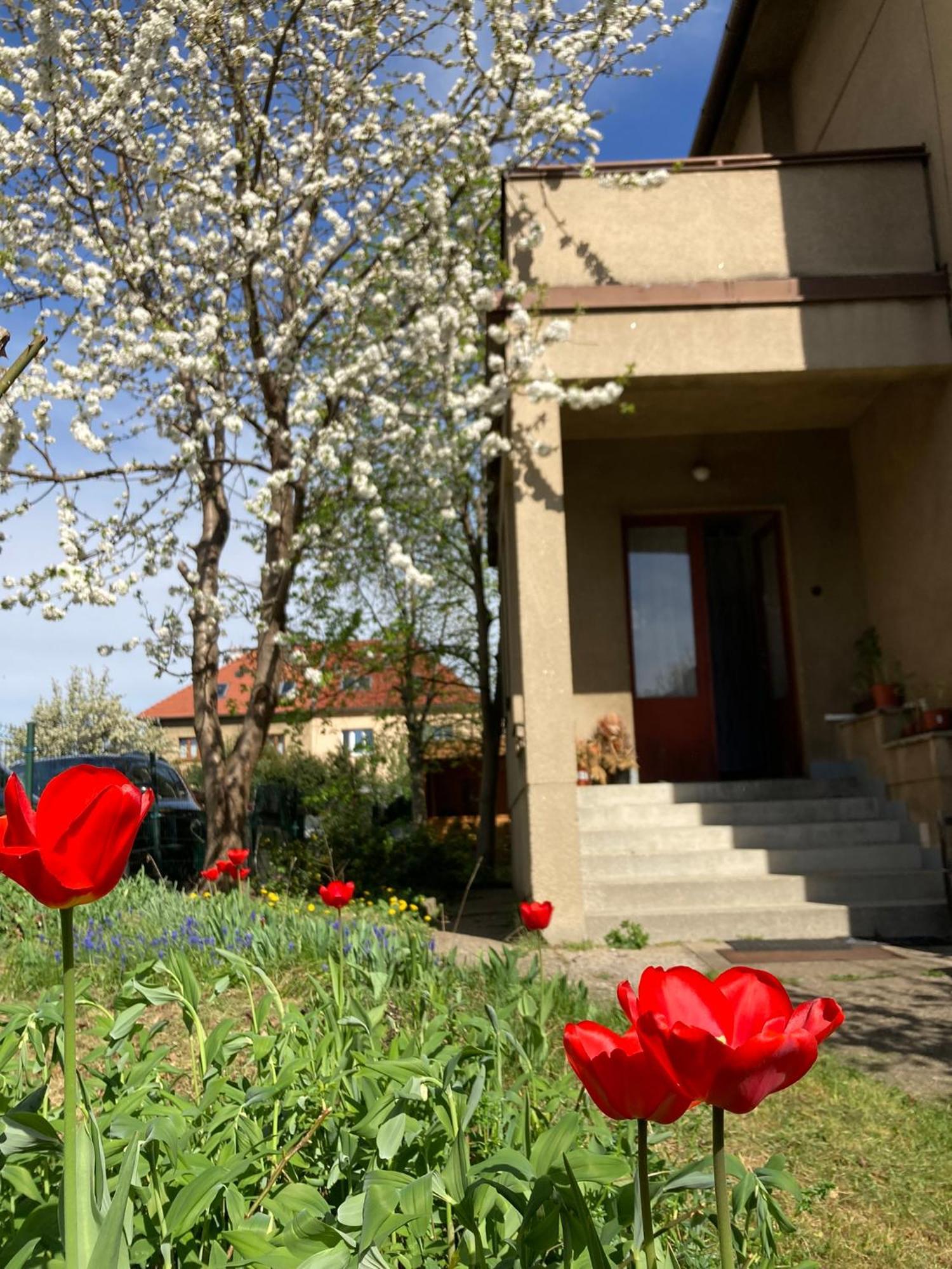 Spacious Apartment - Free Parking! Прага Екстериор снимка