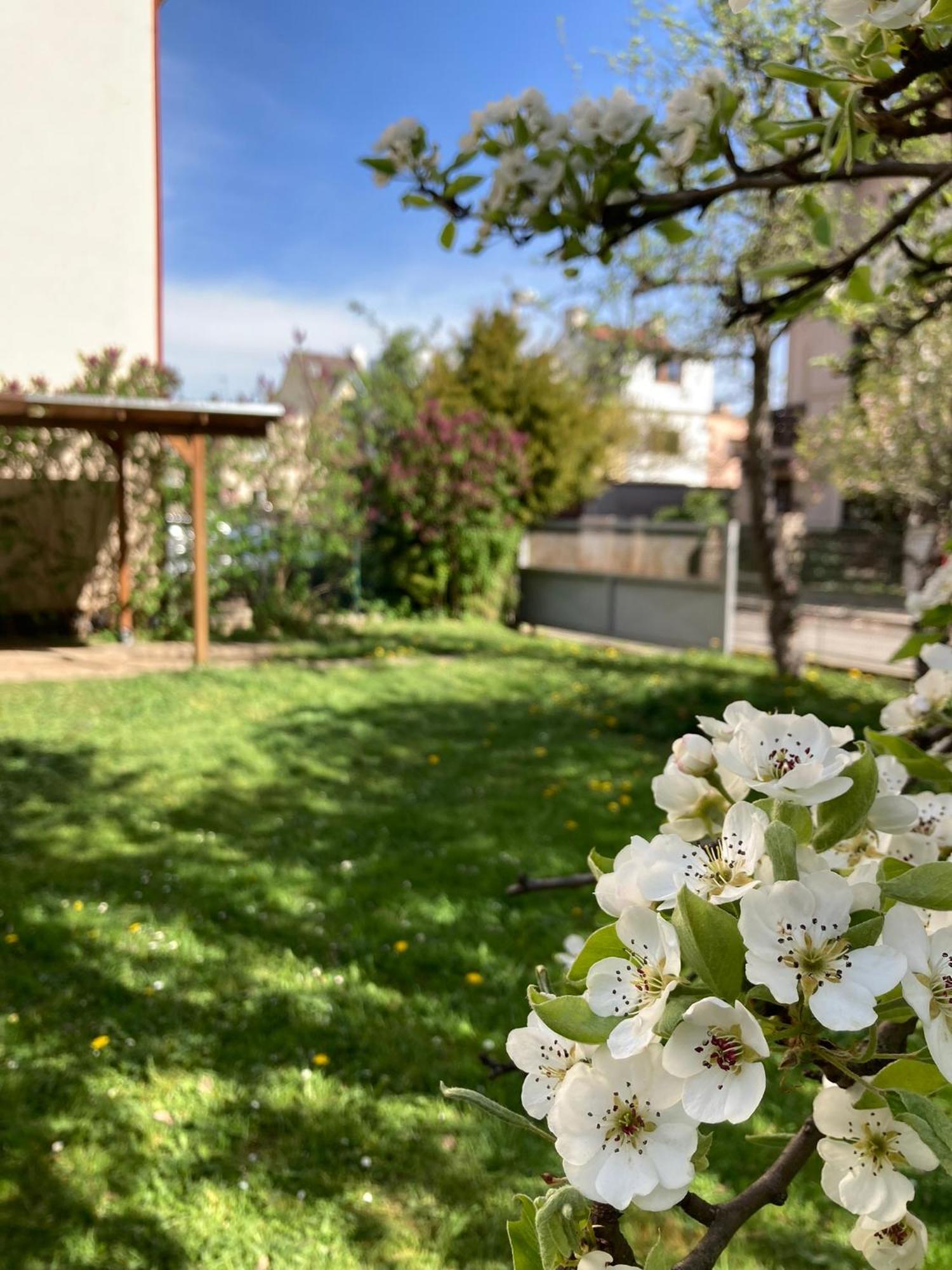 Spacious Apartment - Free Parking! Прага Екстериор снимка